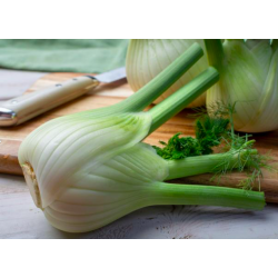 Fennel, Bulb 